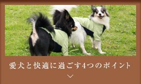 愛犬と快適に過ごす3つのポイント