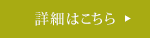 詳細情報