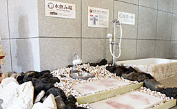 水飲み器・足洗い場
