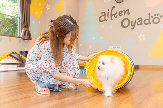 愛犬と一緒に楽しむ　1泊2食飲み放題付きプラン 