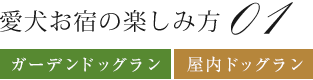 愛犬お宿の楽しみ方 01 ガーデンドッグラン 屋内ドッグラン