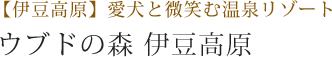 【伊豆高原】愛犬と微笑む温泉リゾート ウブドの森 伊豆高原