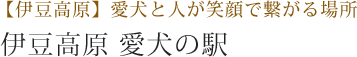 【伊豆高原】愛犬と人が笑顔で繋がる場所 伊豆高原 愛犬の駅