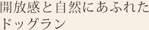 開放感と自然にあふれたドッグラン