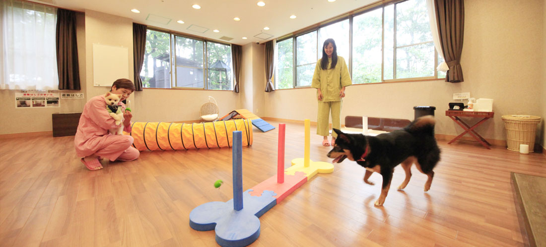 愛犬お宿 伊豆高原 愛犬と過ごす 楽天トラベル