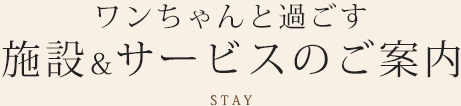 愛犬と過ごす