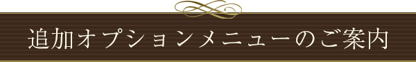 追加オプションメニューのご案内