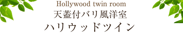 天蓋付バリ風洋室ハリウッドツイン