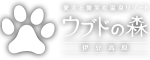 ウブドの森