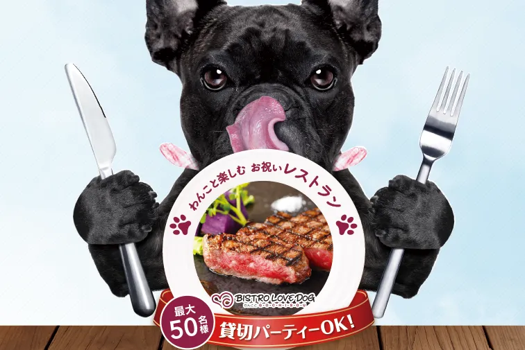 愛犬との絆を深める複合施設