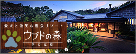 ウブドの森（うぶどのもり）