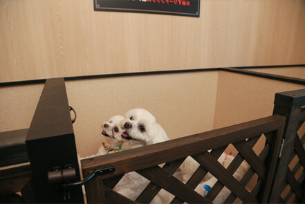 陶芸コーナーでオリジナルグッズを作ろう♪