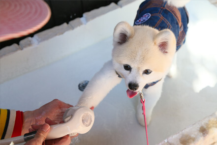 陶芸コーナーでオリジナルグッズを作ろう♪