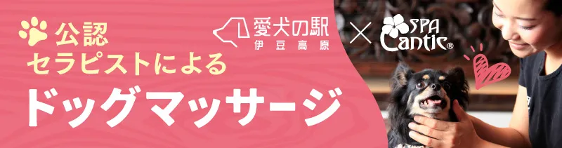 公認セラピストによるドッグマッサージ