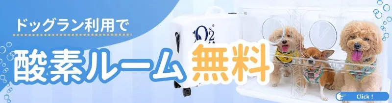 わんこプール