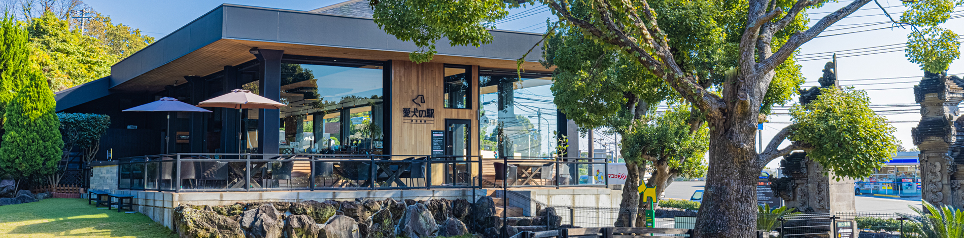 大自然に囲まれながら、ゆっくりとした時間をお楽しみください。