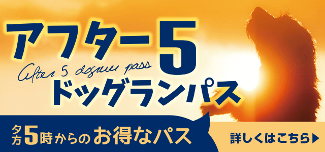 愛犬の駅 伊豆高原  遊べる！楽しい！思い出作り満載のドライブイン！