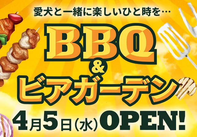 東新宿の屋上テラスで本格BBQ&ビアガーデン