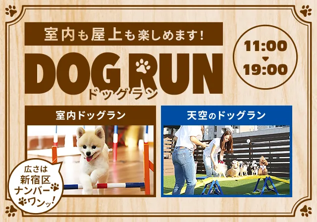 室内も屋上も楽しめます！DOG RUN（ドッグラン） 11:00～：19：00 室内ドッグラン／天空のドッグラン