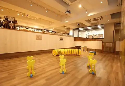 屋内ドッグラン