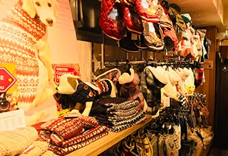 シャンプーやスプレーなどのケア用品