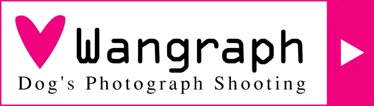 wangraph