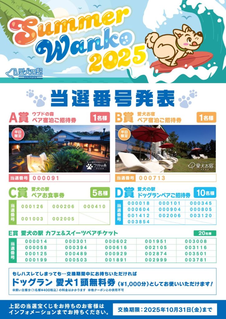 画像に alt 属性が指定されていません。ファイル名: %E3%82%B5%E3%83%9E%E3%83%BC%E3%83%AF%E3%83%B3%E3%82%B3%E7%B5%90%E6%9E%9C-725x1024.jpg
